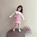 Girls' dress - cute  autumn/winter collection - new stylish winter vest princess dress for kids
