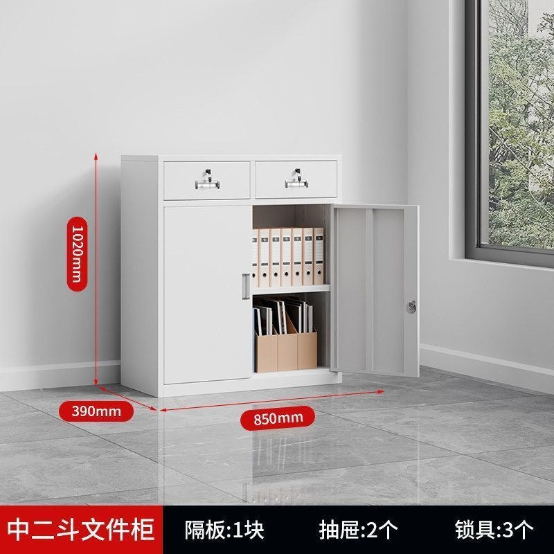 Heavy-duty steel office file cabinet - steel document cabinet for financial records, accounting files, and storage - low profile storage unit