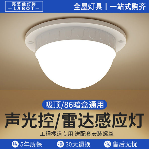 LED induction ceiling light sound control light household radar human body corridor stairs corridor balcony light aisle sensor light