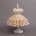 Girls' summer formal dress - european & american style flower girl wedding dress, princess tutu, children's host, piano performance dress