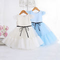 Amazon's new kids dress tutu cake skirt princess skirt female flower girl first birthday baby dress