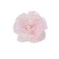 Small fresh organza flower hairpin side clip side back of head hairpin super fairy vacation style green forest style headwear