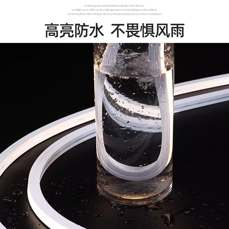 Cross-border direct supply high-voltage light strip 1010 silicone 24V/12V/220V flexible outdoor lighting engineering linear light strip