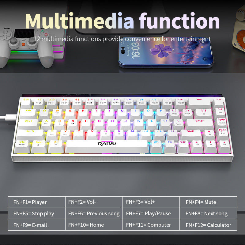 Raiku gk68 blue switch mechanical keyboard - gaming, hot-swappable, high-performance, light box, detachable cable