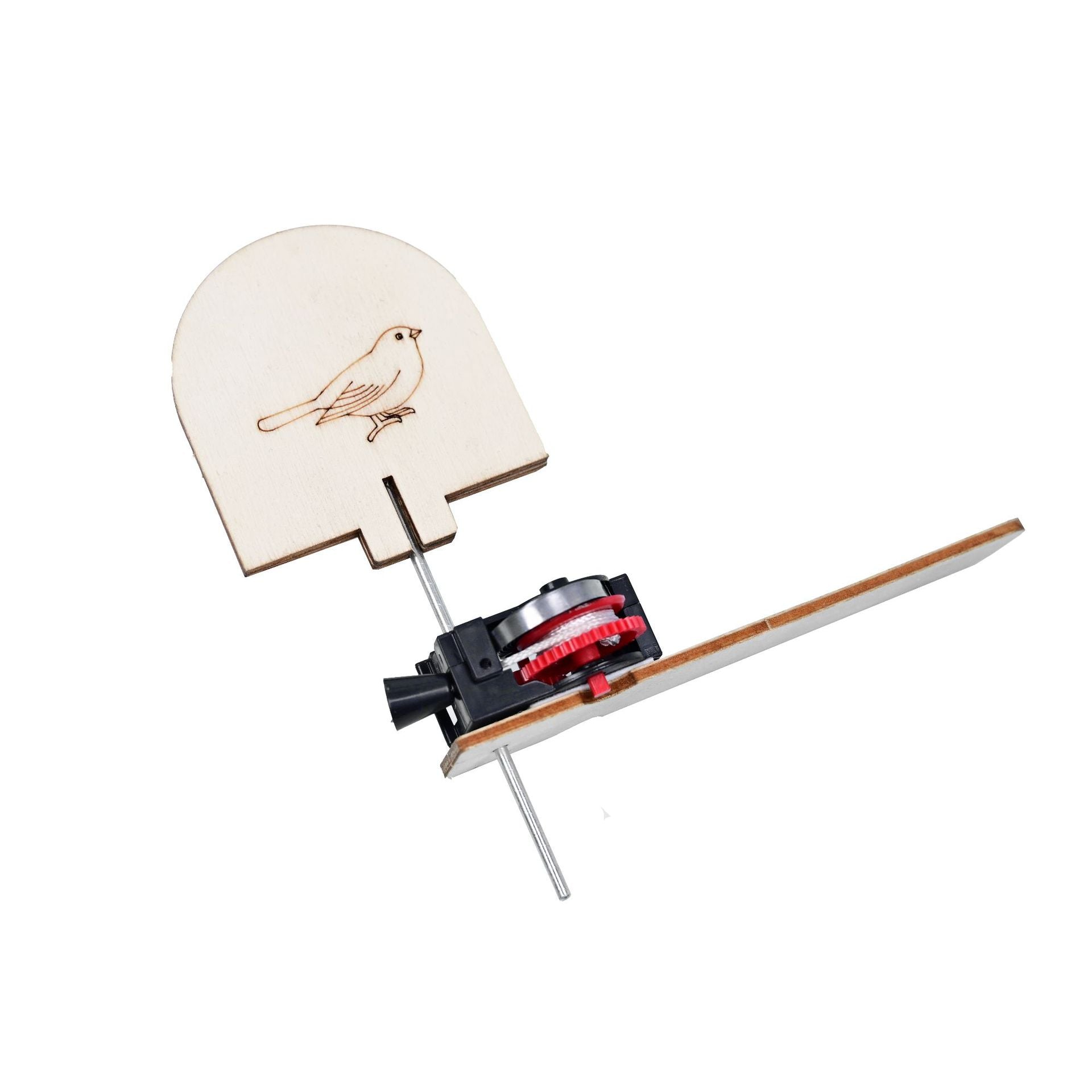 Wooden cage bird primary school students physical equipment stem puzzle classroom small production children's creative science small experiment