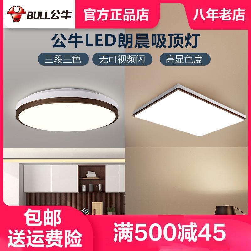 Bull Langchen Ceiling Light LED Lighting Lighting Living Room Bedroom Light Rectangle Round Nordic Modern Simple Light