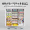 -22°c food freezer, air-cooled, independent door temperature control, commercial high-capacity ice cream display case for frozen treats
