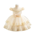 Exportin stock tutu princess cake skirt girl one year old evening dress dressbaby dress