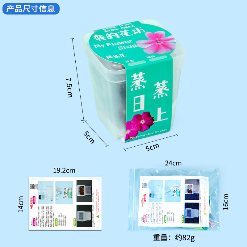 Plant Seed Planting Impatiens Fourth Grade Primary School Students Science Experiment Set Observation Homework Technology Small Production