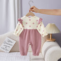 Spring autum hairy rompers princess baby spring & fall jumpsuit autumn outwear super cute baby full month hundred days
