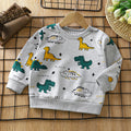 Children's hoodie  autumn collection, 100% cotton, long sleeve t-shirt for boys and girls, infant and toddler pullover top