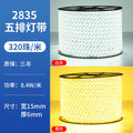 2835 oblique five rows 320 beads white light