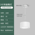 Hanging wire model-white shell- 5inch -18w-neutral light 4000k