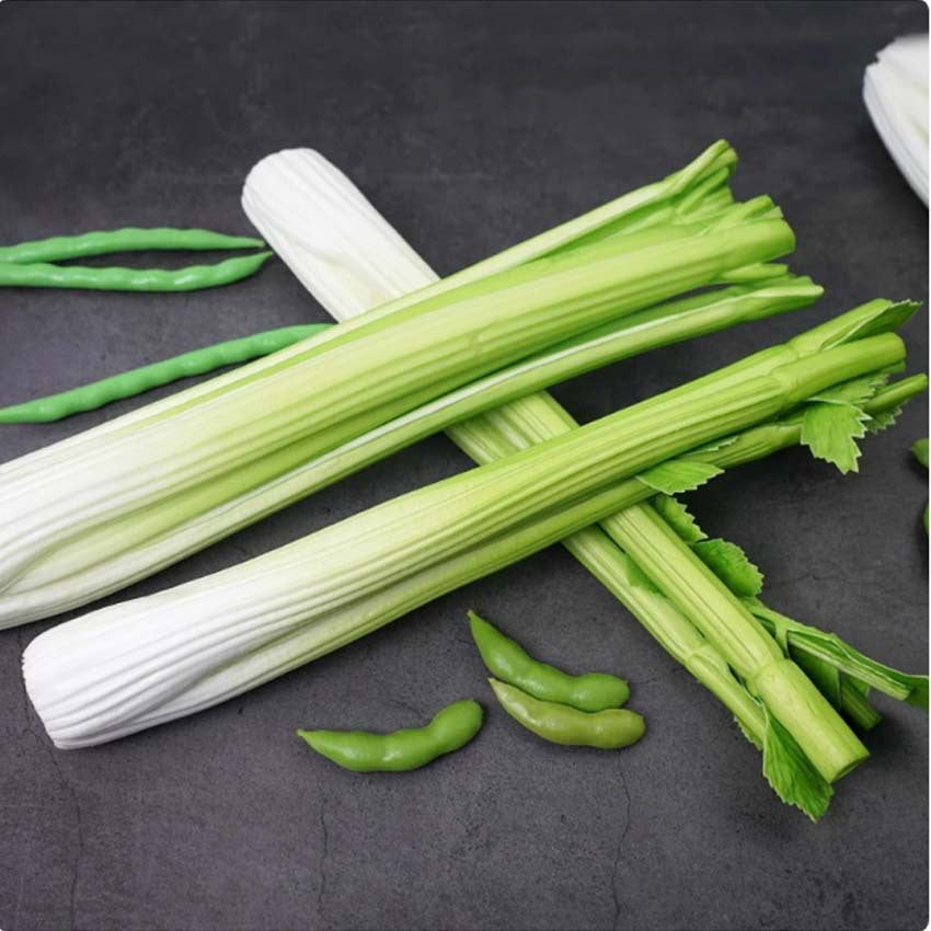 Simulated celery fake celery hanging string vegetable model children's cognitive fruit and vegetable toys fruit decoration props pendant