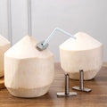 Stainless steel coconut opener - quick coconut drilling tool for fresh coconuts, includes straw insertion tool
