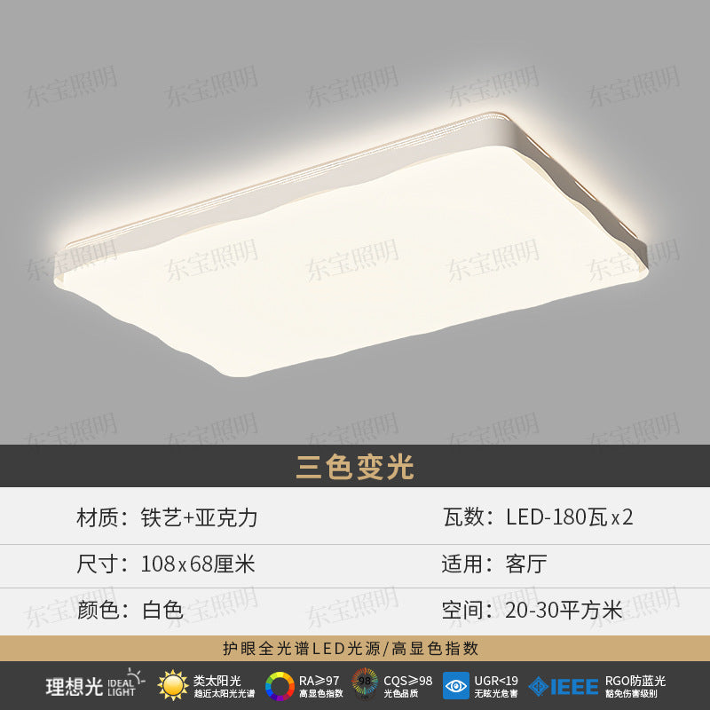 Dongbao Lighting Bedroom Minimal Ceiling Light, Full Spectrum Eye Protection LED Light, Hall Main Light Zhongshan Furniture Lighting