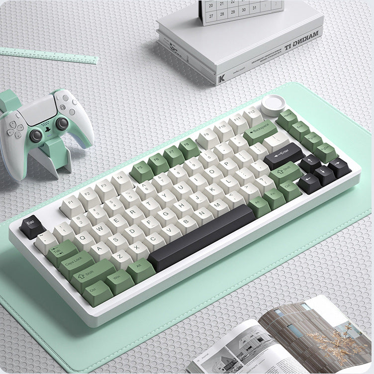 Viewsonic kc75 custom mechanical keyboard - gasket structure, full key hot-swappable, wireless tri-mode