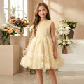 European and american style new girls' dress - lace mesh tutu skirt with bow neckline - princess style - direct from manufacturer - in stock