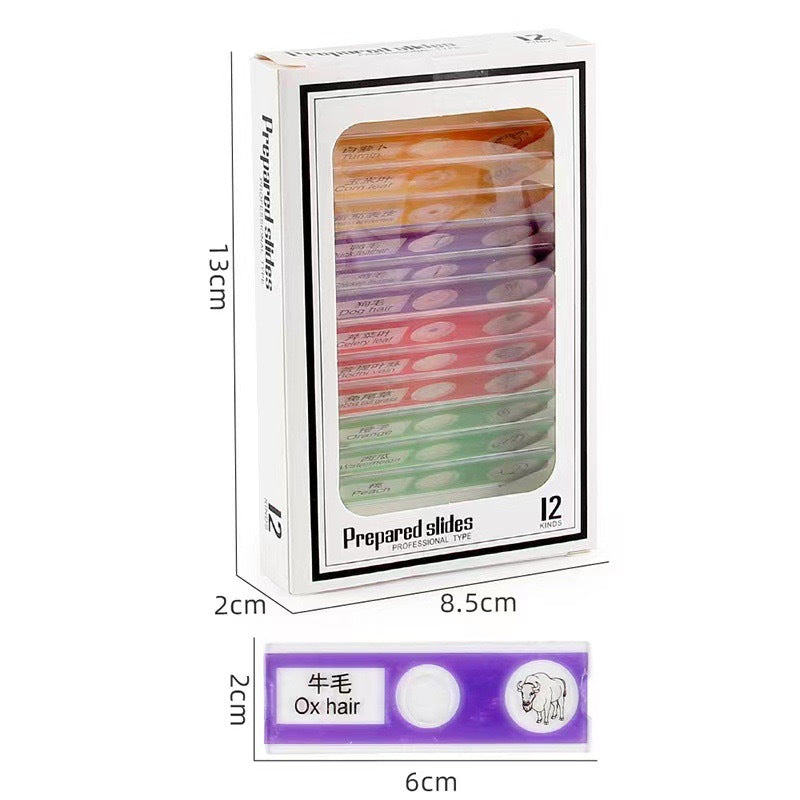 Source kids microscope lens specimen animal plant insect biological slice scientific small production experiment play puzzle