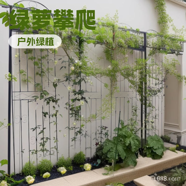 Wrought iron with base climbing vine flower stand outdoor plant climbing frame shelf garden garden gardening display stand