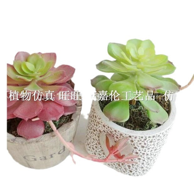 Snowlotus with buds, Guanyin lotus, succulent plants, window desktop decoration materials, creative small gifts, decorations