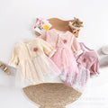 Baby girl's stylish princess-style 100-day outing romper, perfect for spring and autumn. sweet and elegant double-layered one-piece bodysuit for newborns and full-month celebrations