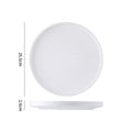 10inch disc with edge