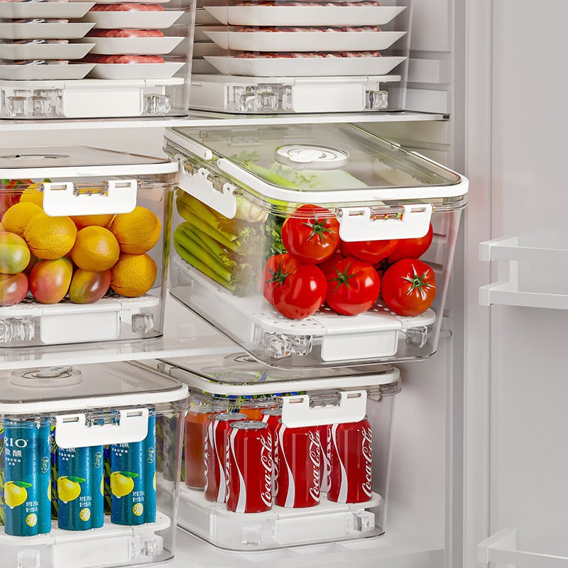 Customized picnic camping outdoor transparent portable refrigerator crisper multi-functional snack portable large-capacity storage box