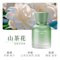 Wholesale car air freshener, premium automotive scent, 2024 new model, long-lasting high-end fragrance for men and women