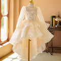 Girls' train dress new arrivallong sleevesspring & fallkids princess dress evening dress birthday style 3-12 years old skirt