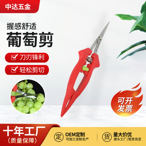 Yangjiang stainless steel grape shears Changji wholesale straight fruit picking shears pointed horticulture bonsai garden shears pruning shears