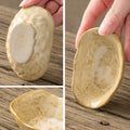 Japanese kiln-turned ceramic oyster-shaped dish, sushi soy sauce, mustard dish, appetizer dish, hot pot restaurant dipping dish, seasoning dish