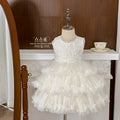 summer new girls' fashion floral embroidered sleeveless puffy soft tulle skirt chic and stylish dress princess dress