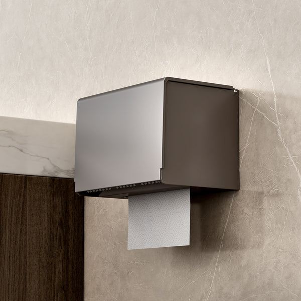 Toilet toilet carton Toilet tissue box Pumping carton Toilet paper shelf Roll paper Waterproof wall-mounted non-punching