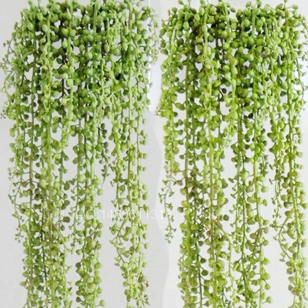 Simulated 5-head fruit lover tears hanging orchid pearl succulent hanging store green plant wall hanging decoration wedding home decoration