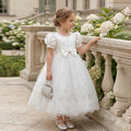Flower girl wedding dress evening dress cross-border wedding female host retrogirldress lace clothing in stock wholesale