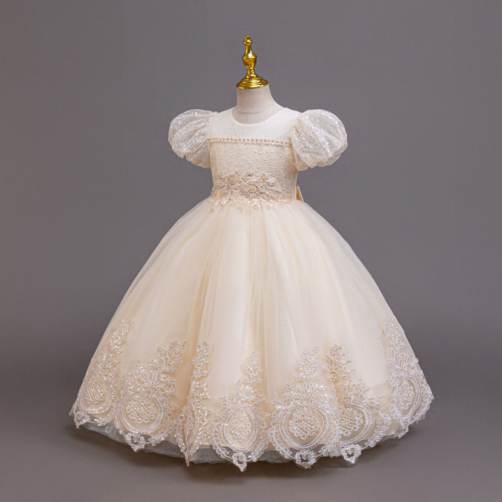Ready-to-ship children's embroidered sequin puff sleeve princess dress - girls' runway model dress - kids dress