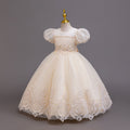 Ready-to-ship children's embroidered sequin puff sleeve princess dress - girls' runway model dress - kids dress