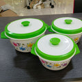 2533 printed plastic shell, inner container, and handle three-piece set insulated lunch box/insulated food container - export quality