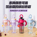 New arrival high-looking ice cup with lifting ring, large capacity double drink plastic water cup with handle and tea drain, tea straw cup