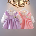 Girls' dress autumn collection : stylish spring and autumn children's wear, baby princess cute dress, kids' long-sleeved skirt