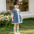 Summer girls' dresses  new korean style baby princess dress thin lace girl's dress summer outfit