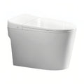Standard toilet for home bathroom first-class water efficiency toilet kick large diameter deodorizing filter easy to clean anti-blocking