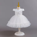 Ready-to-ship new baby girl dress - tulle flower cake princess dress - first birthday dress - baby dress