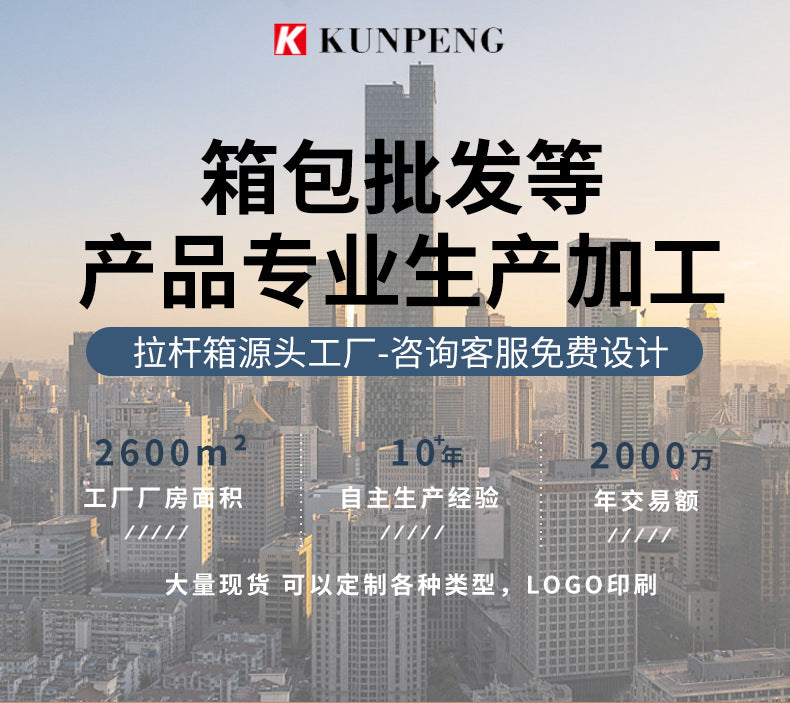 High value trolley case 20/24/28 inch customs password box luggage travel boarding luggage