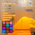 White disc single head sunset water ripple atmosphere floor lamp rgb16 color delivery remote control