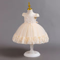 Exportin stockchildren's dresslace tutu princess dress one year old evening dress female baby dress