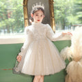 Amazon girls' dresses: european and american style, new autumn/winter  collection, children's princess dresses, perfect for piano recitals