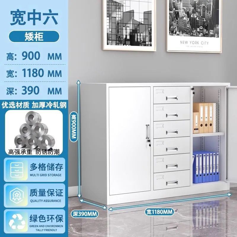Office metal file cabinet - accounting & finance storage cabinet - voucher cabinet - storage cabinet - document & record cabinet - lockable cabinet