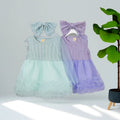 Girls' summer dresses  new styles: chic kids' clothing, summer mesh princess dress, baby girl summer skirt